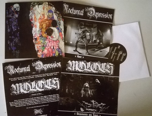 Moloch nocturnal depression - nocturnal,