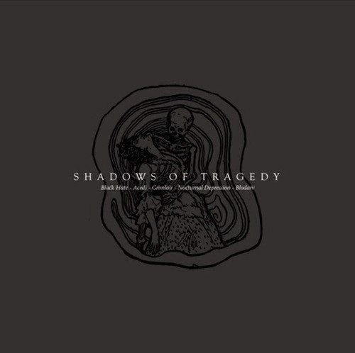 Acedi black hate blodarv - acedi, /